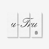 u-Tru 3 Piece Canvas Wall Art - U-Tru