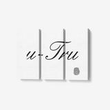 u-Tru 3 Piece Canvas Wall Art - U-Tru